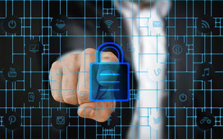 华体会官网入口-赛事风险管理体系，体育赛事风险管理的主要内容